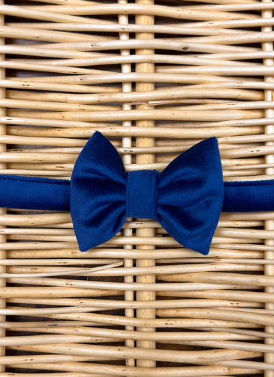 Velvet Bow Tie