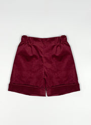 Velvet Celebration Shorts