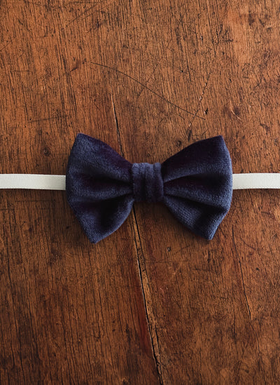 Papillon in velluto