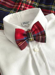 Papillon scozzese