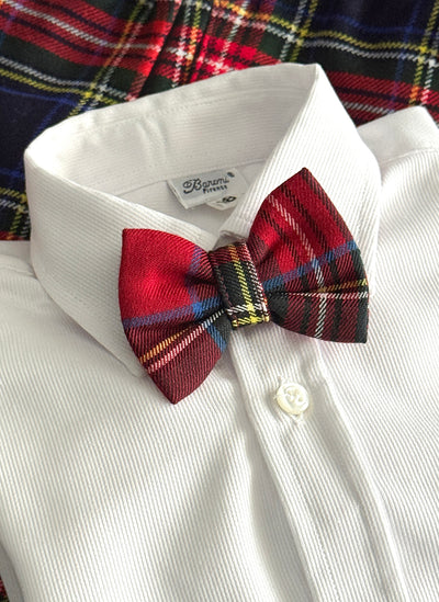 Papillon scozzese
