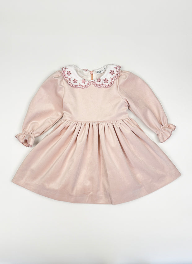 Velvet Embroidered Collar Dress