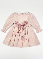 Velvet Embroidered Collar Dress