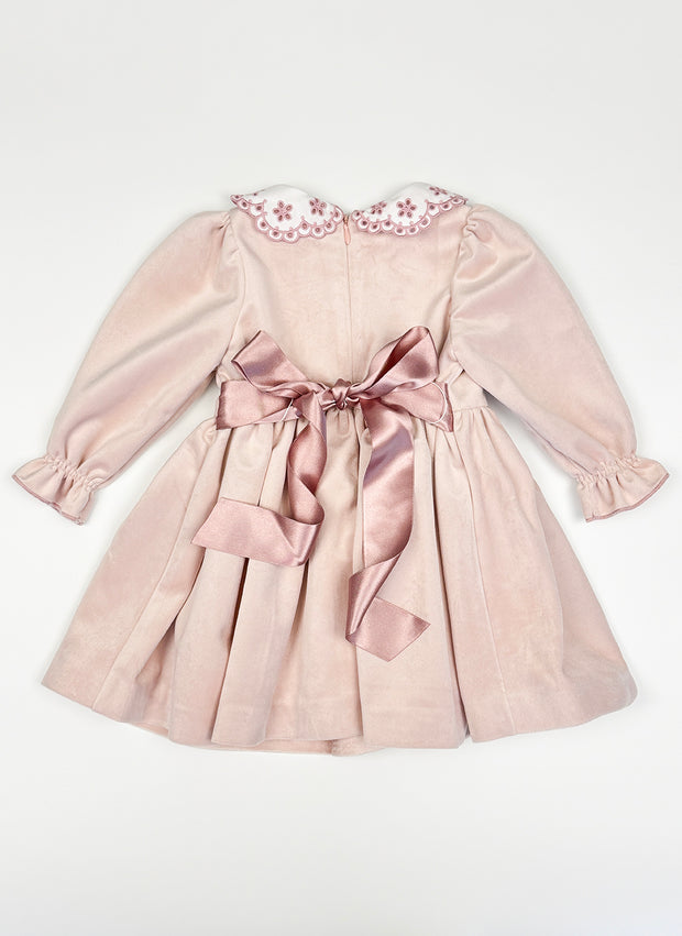 Velvet Embroidered Collar Dress