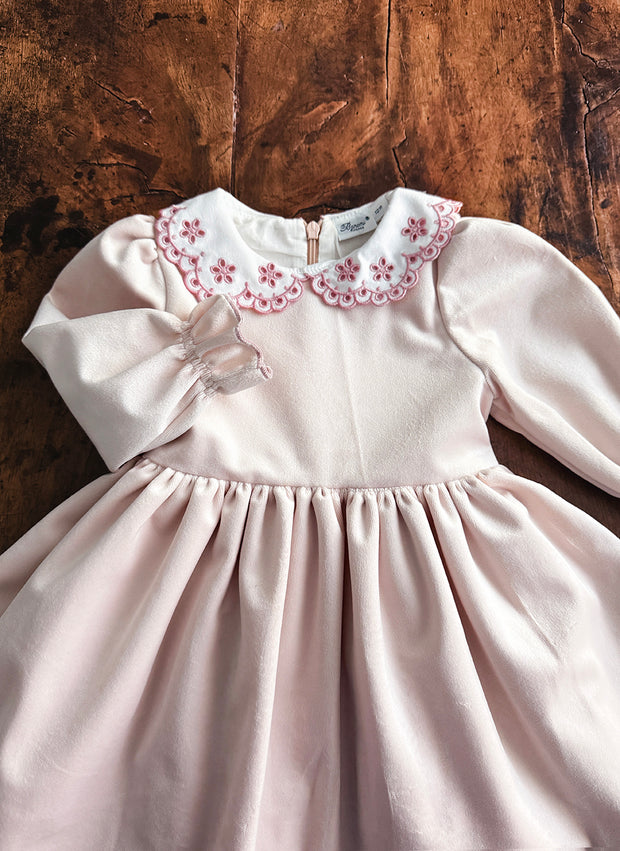 Velvet Embroidered Collar Dress