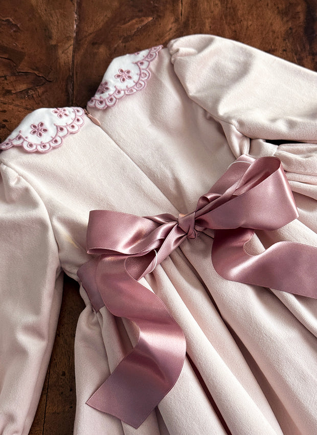 Velvet Embroidered Collar Dress