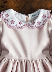 Velvet Embroidered Collar Dress