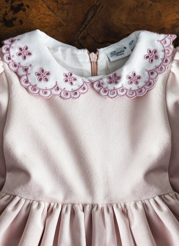 Velvet Embroidered Collar Dress