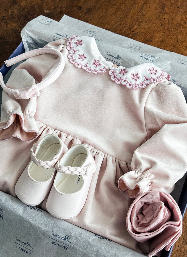 Velvet Embroidered Collar Dress