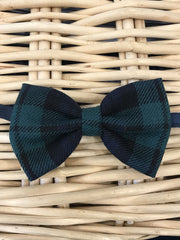 Papillon scozzese